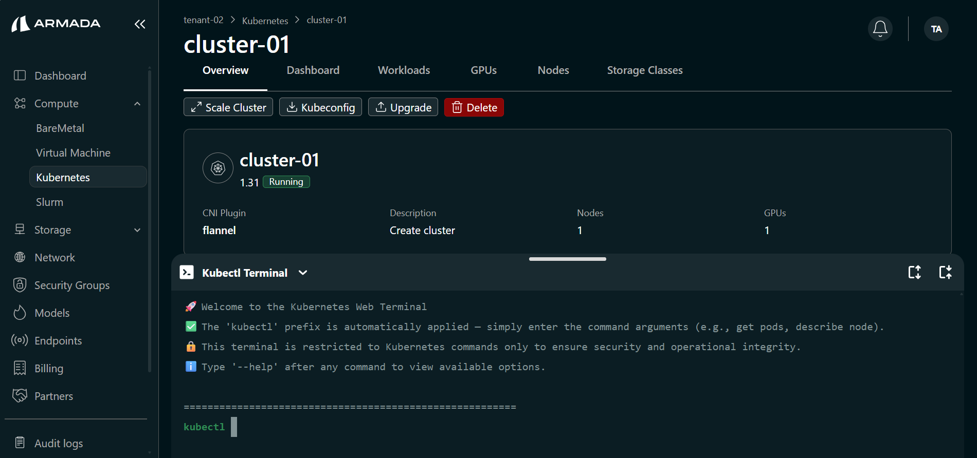 Cluster K8s Terminal