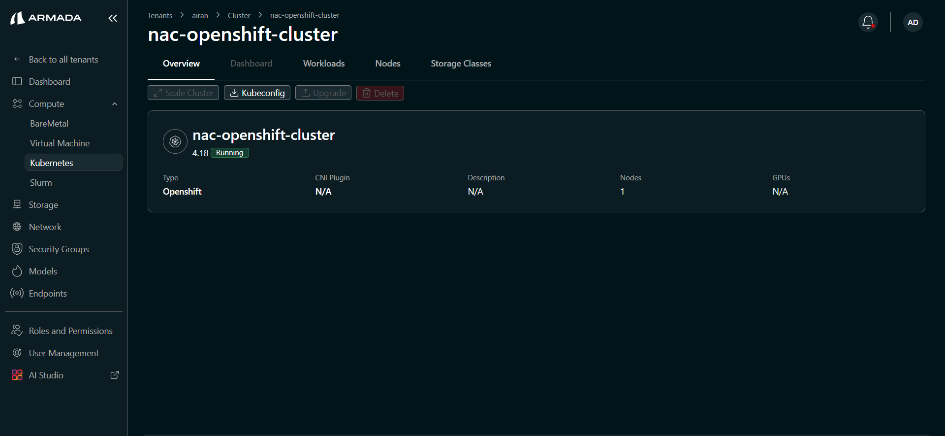 OpenShift cluster detail — Overview tab