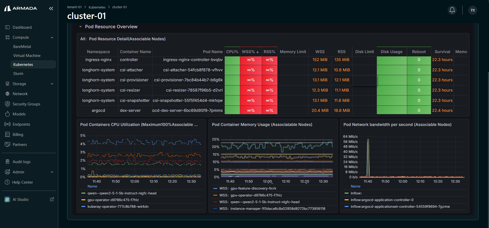 Pod Resource Overview