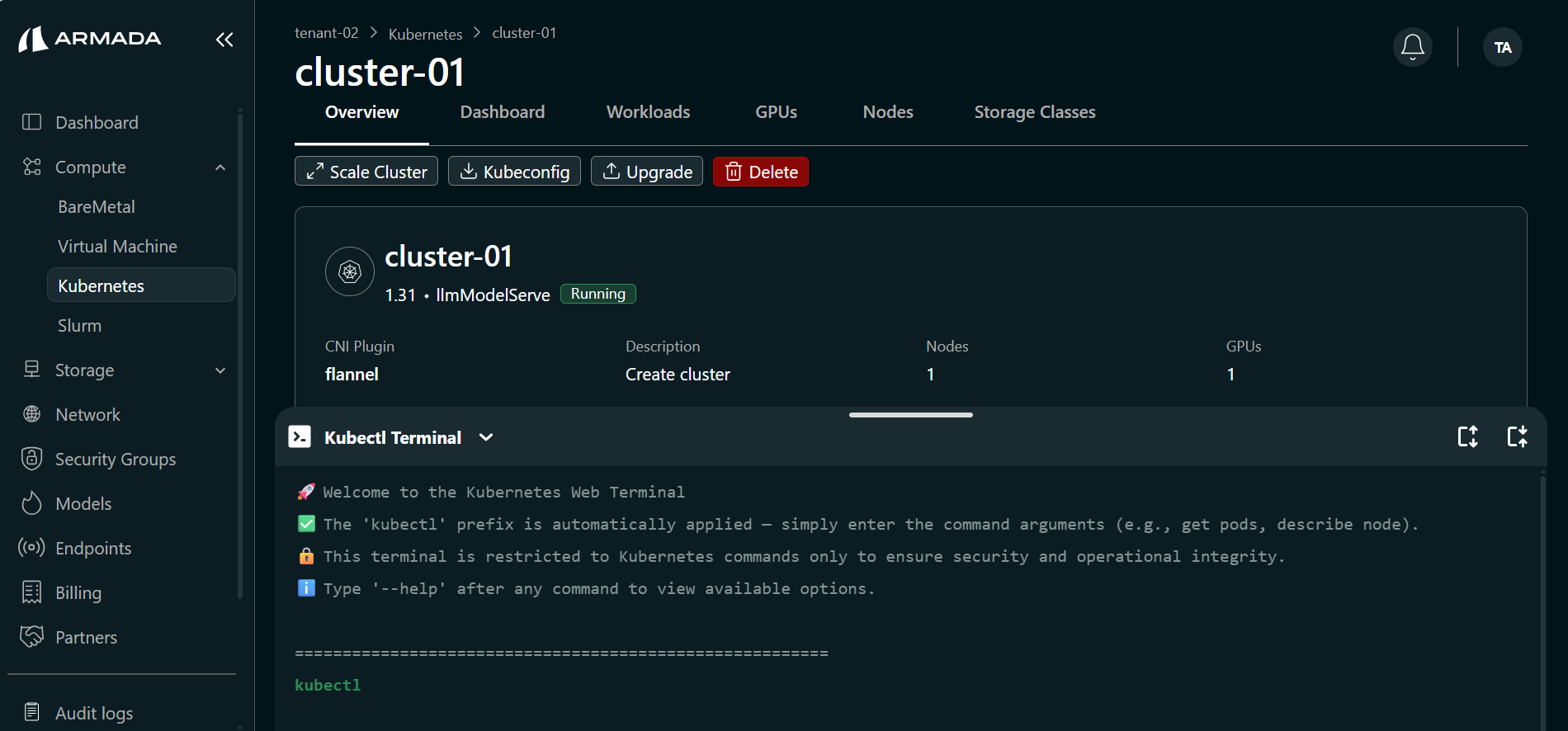 Cluster K8s Terminal