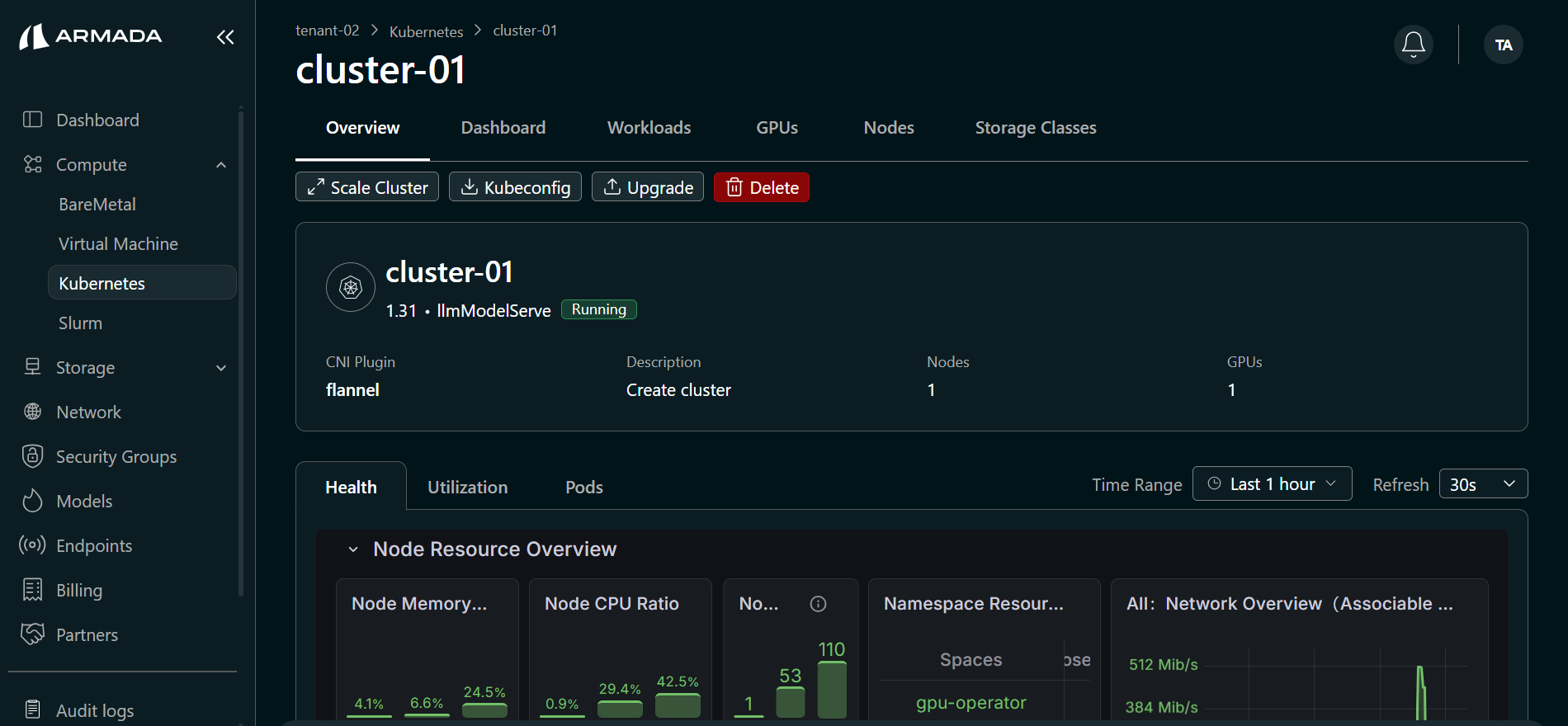 Cluster Overview
