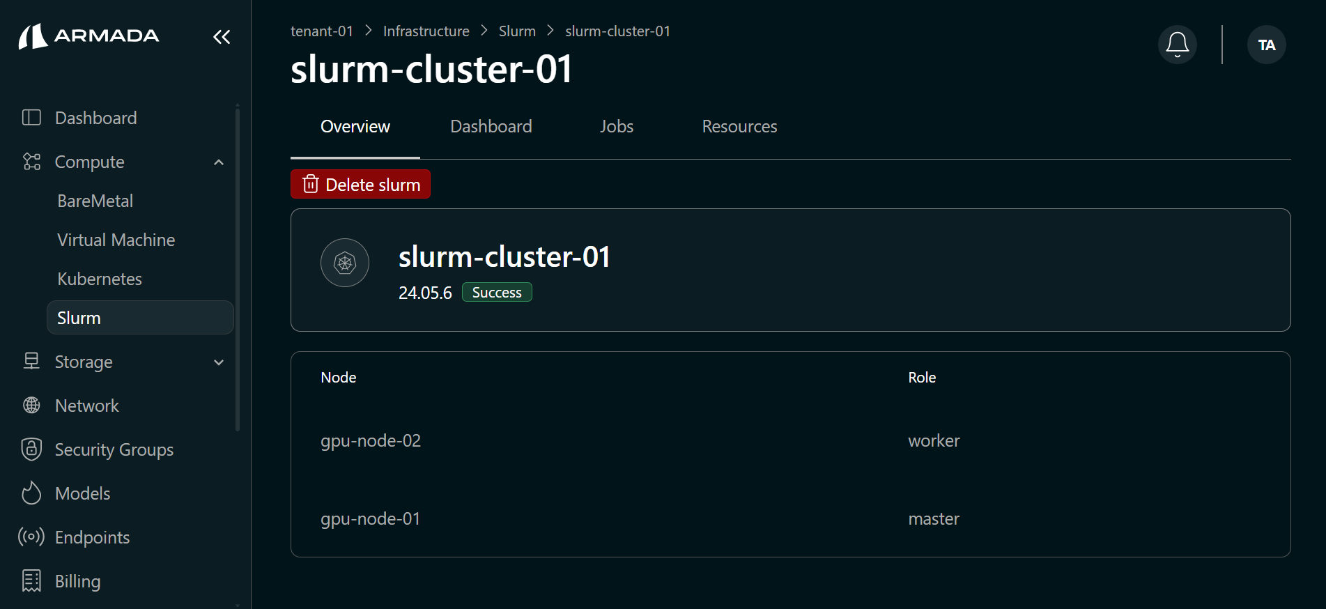 View Slurm Nodes Details