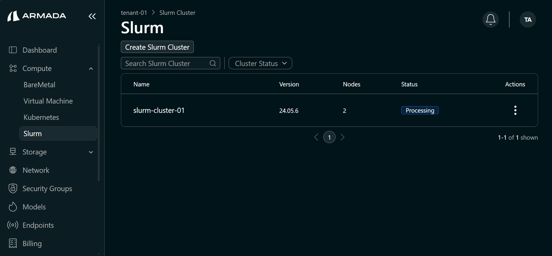 Processing Slurm Cluster