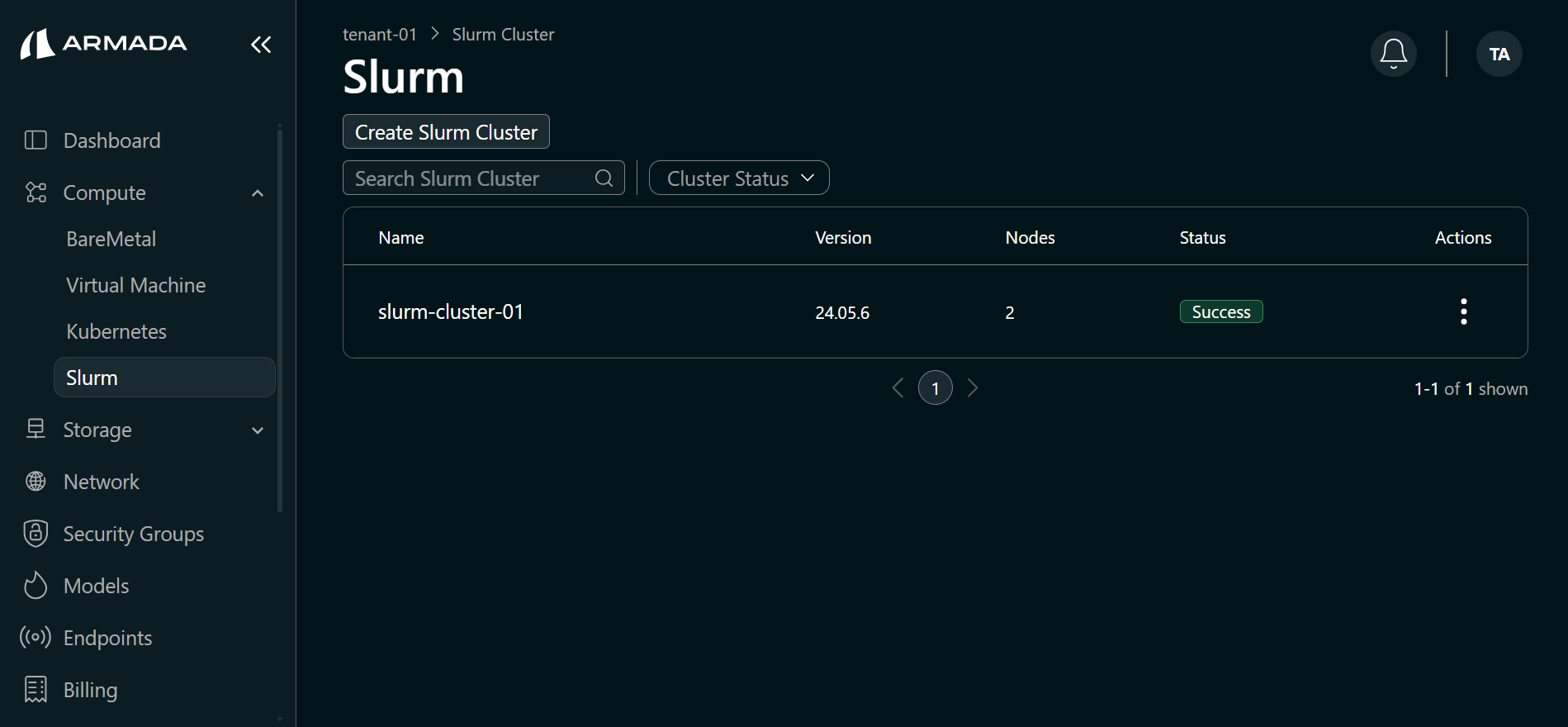Success Slurm Cluster