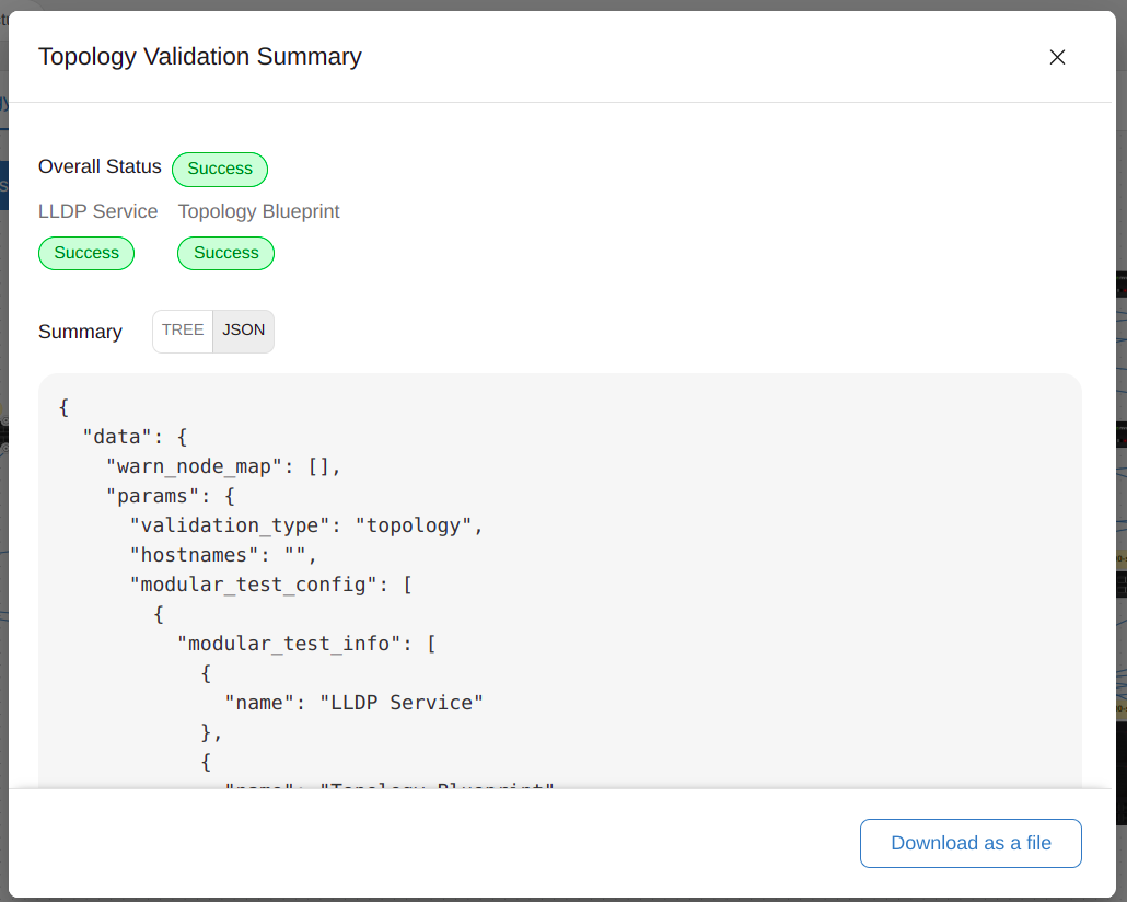 Topology validation — JSON summary
