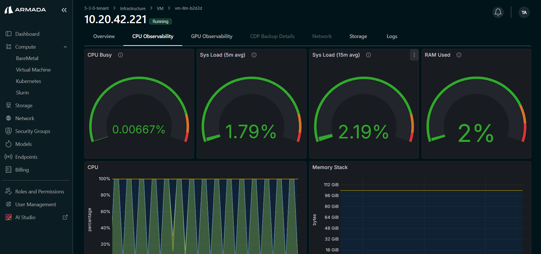 VM CPU Observability