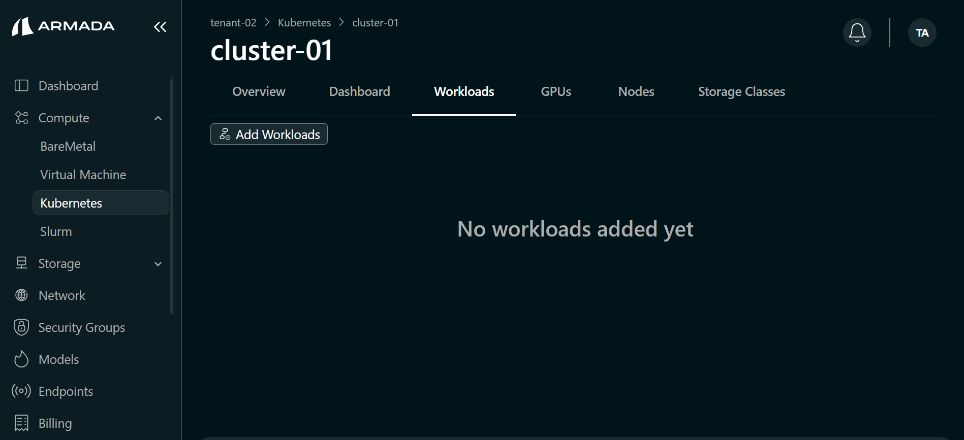 Cluster Workload